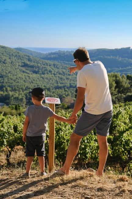 Bandol: family vineyard tour and tasting - Key Points
