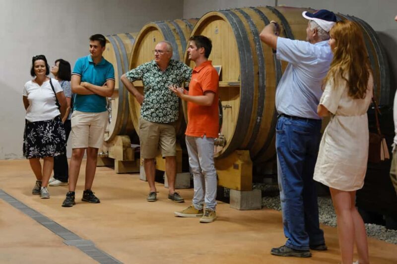 Bandol: family vineyard tour and tasting - In-Depth Review of the Tour Experience
