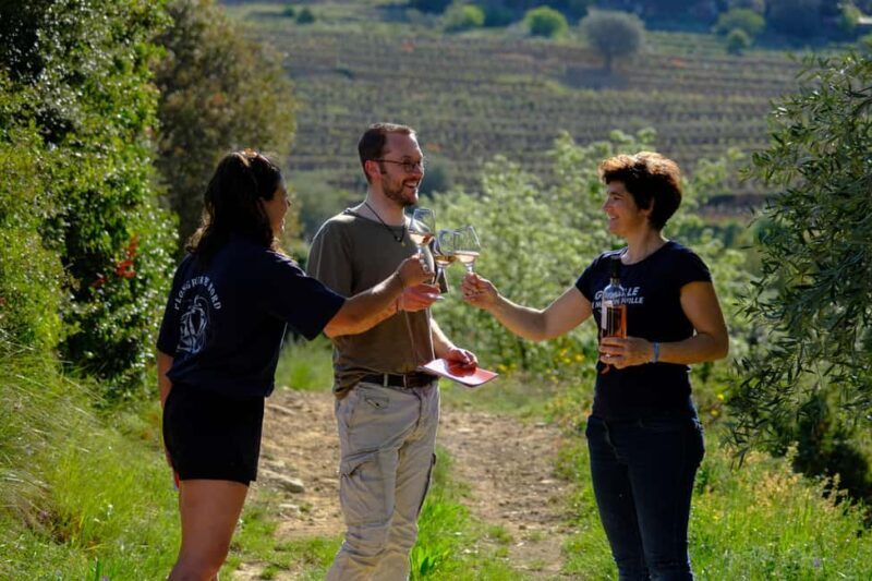 Bandol: family vineyard tour and tasting - The Sum Up