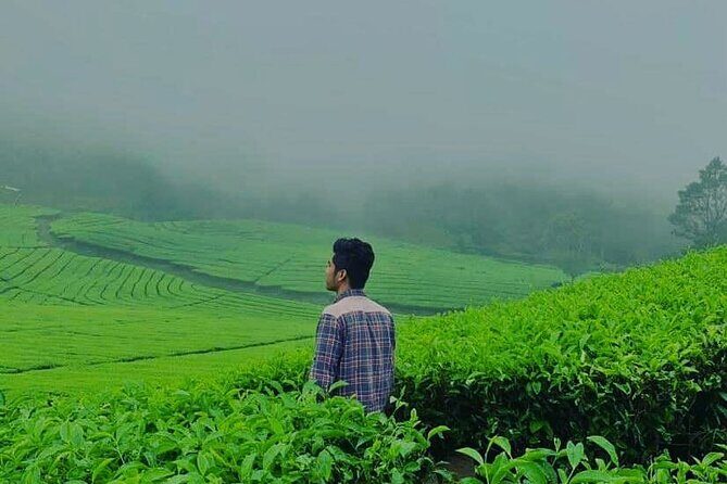 Bandung Tour Volcano, Hotsprings, Mud, Tea, Lunch all Included - What’s Included and What’s Not