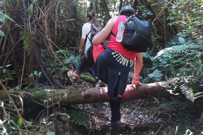 Bandung Tour Volcano, Hotsprings, Mud, Tea, Lunch all Included - Authentic Experiences and Honest Feedback