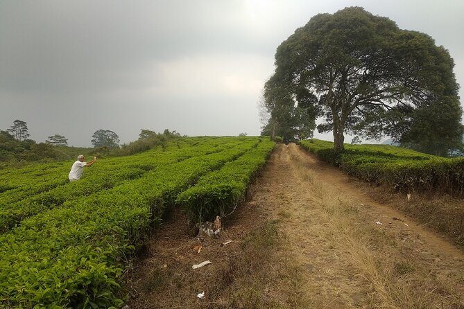 Bandung Volcano Sightseeing and Hot Spring Private Tour - FAQs