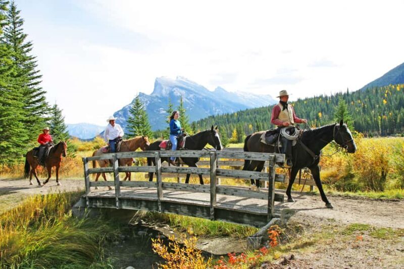 Banff: 3-Hour Bow Valley Loop Horseback Ride - What to Expect and Considerations