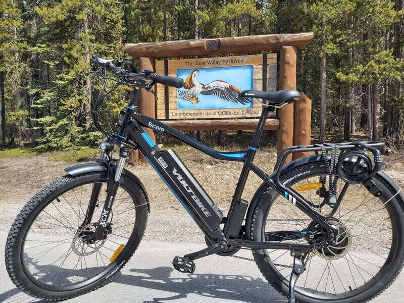 Banff: 4-Hour E-Bike and Walking Tour in Johnston Canyon - Considerations and Practicalities