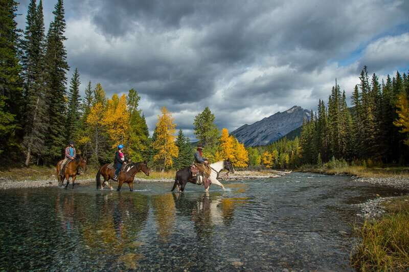 Banff: 4-Hour Sulphur Mountain Intermediate Horseback Ride - Authentic Experiences and Genuine Value