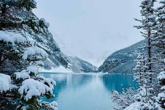 Banff and Yoho Rocky Mountain Discovery Day Tour - Considerations Before Booking