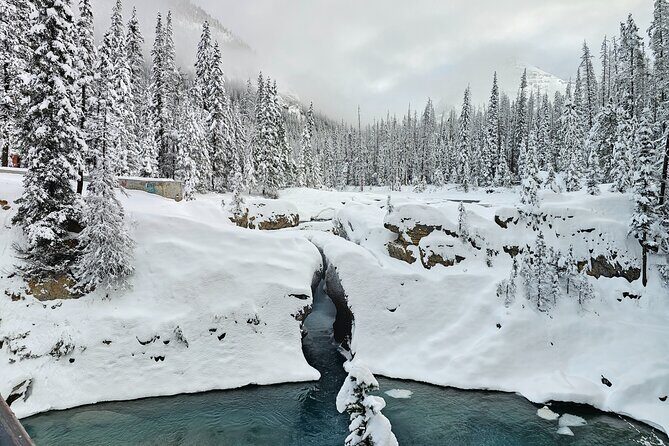 Banff and Yoho Winter Wonderland Private Tour - Experience the Canadian Rockies with the Banff and Yoho Winter Wonderland Private Tour