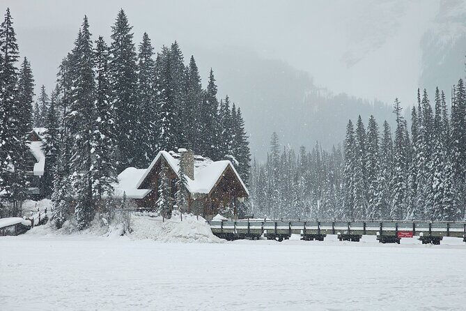 Banff and Yoho Winter Wonderland Private Tour - Key Points