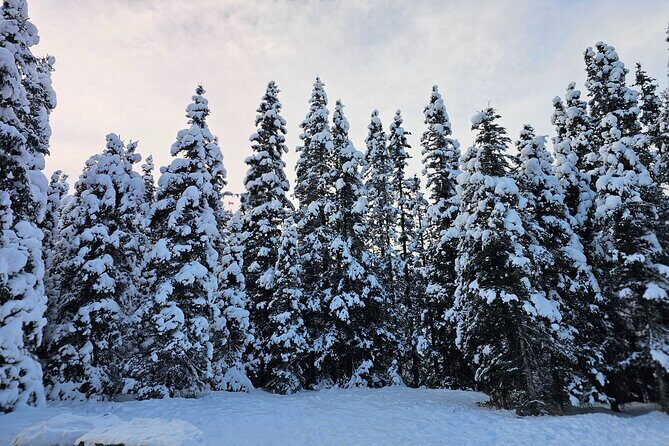 Banff and Yoho Winter Wonderland Private Tour - Final Thoughts