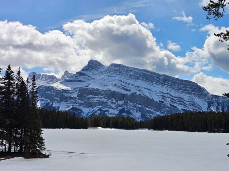 Banff and Yoho Winter Wonderland Private Tour - Who Will Love This Tour?