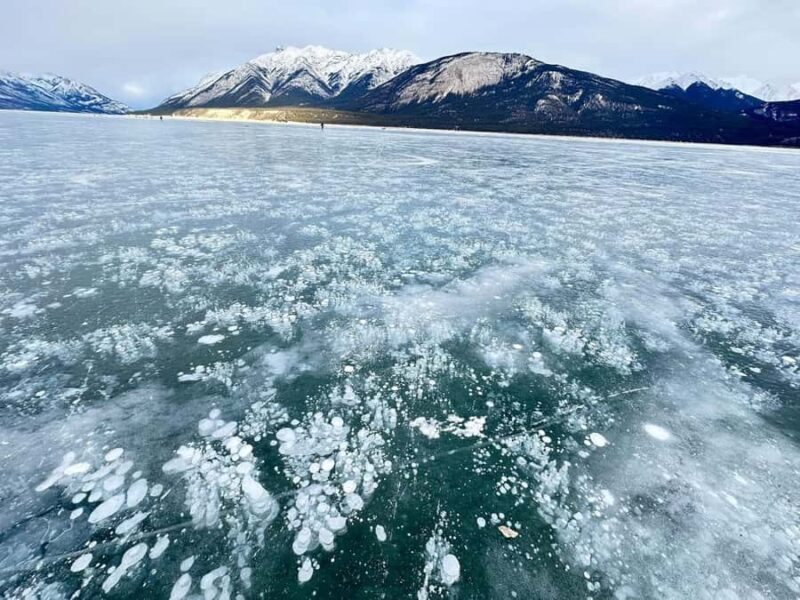 Banff: Banff & Yoho National Park Lakes and Gondola Tour - Discover the Majestic Rockies with the Banff & Yoho Lakes and Gondola Tour