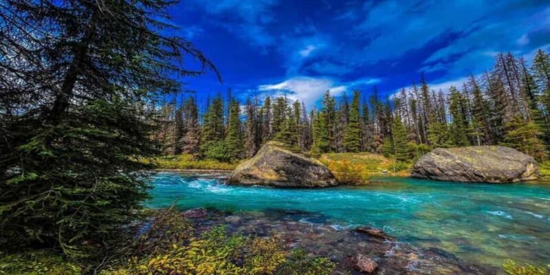 Banff: Banff & Yoho National Park Lakes and Gondola Tour - Who Should Consider This Tour?