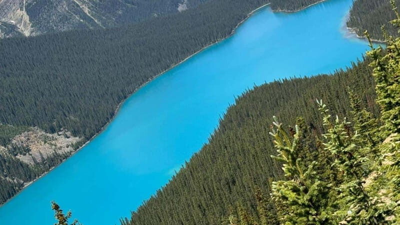 Banff/Calgary/Canmore: Crowfoot Glacier and 5 Lakes Tour - FAQs