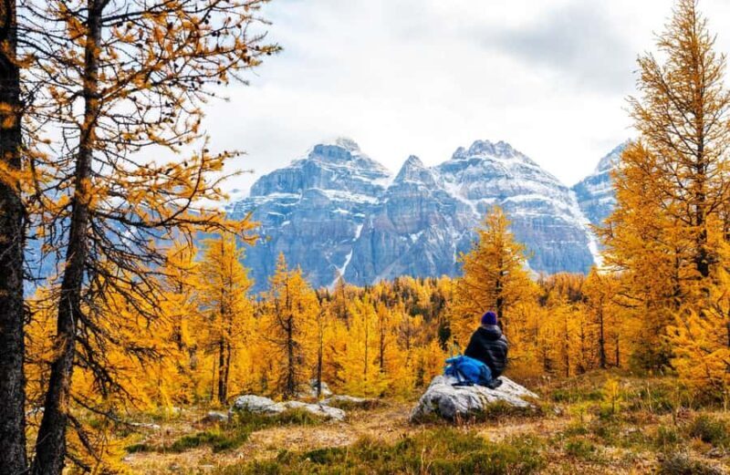 Banff/Canmore: Larch Valley & Moraine Lake shuttle RoundTrip - The Experience in Detail: What to Expect and Why It Matters
