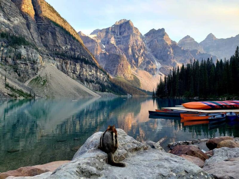 Banff/Canmore: Larch Valley & Moraine Lake shuttle RoundTrip - FAQ