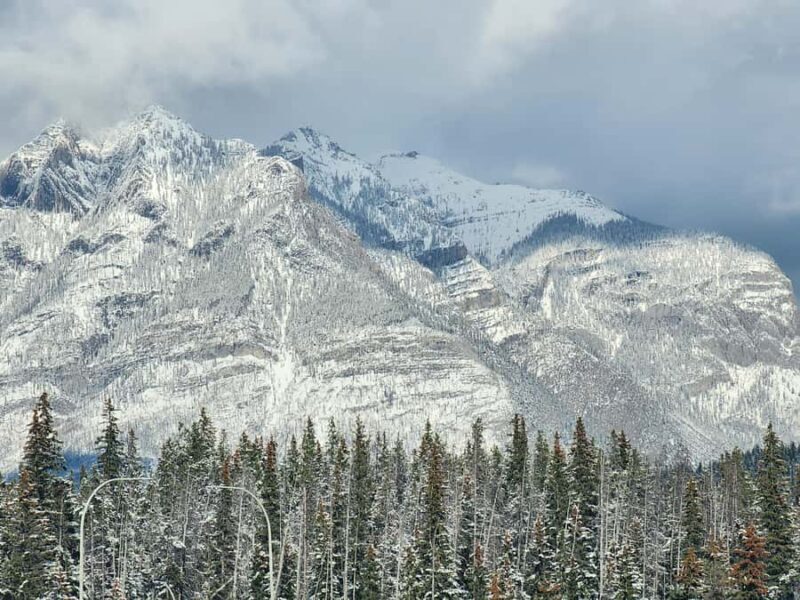 Banff Canmore: Wildlife Focused Guided Snowshoeing Adventure - Key Points