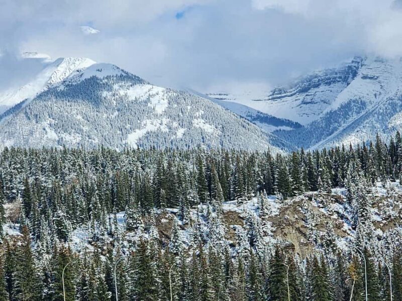 Banff Canmore: Wildlife Focused Guided Snowshoeing Adventure - Exploring the Canadian Rockies on Snowshoes