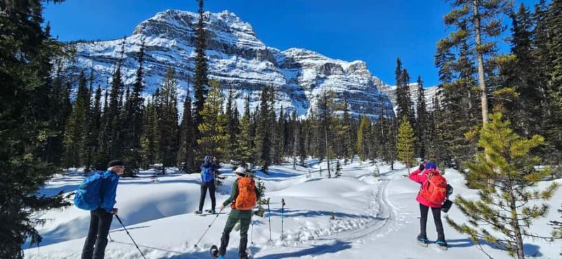 Banff: Chickadee Valley Snowshoe & Marble Canyon Walk - Exploring the Rockies on Snowshoes and Scenic Walks: The Chickadee Valley & Marble Canyon Tour