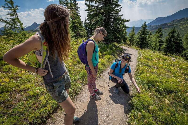 Banff: Edible and Medicinal Plants Nature Walk - Banff: Edible and Medicinal Plants Nature Walk