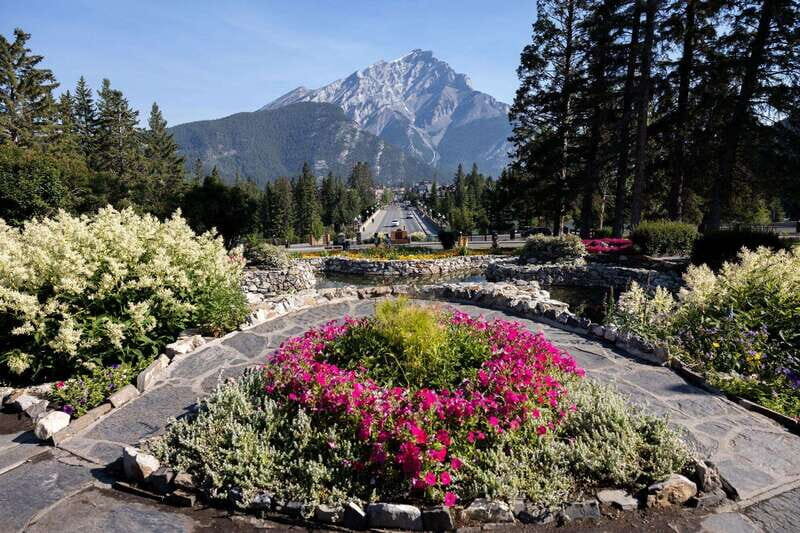 Banff: Edible and Medicinal Plants Nature Walk - Key Points