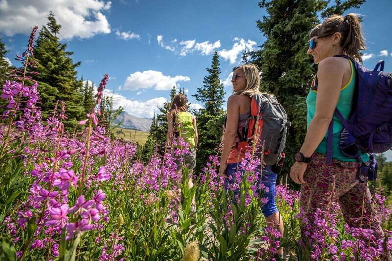 Banff: Edible and Medicinal Plants Nature Walk - Is This Tour Right for You?