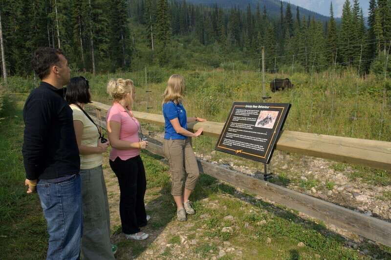 Banff: Edible and Medicinal Plants Nature Walk - Final Thoughts