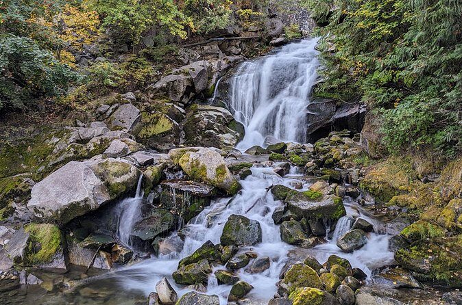 Banff Evening Explorer Canyons, Cliffs and Sunset Views - An In-Depth Look at the Tour Experience