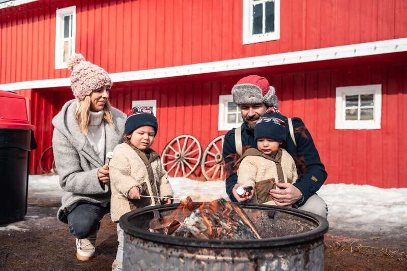 Banff: Family Friendly Horse-Drawn Sleigh Ride - Who Should Consider This Experience?