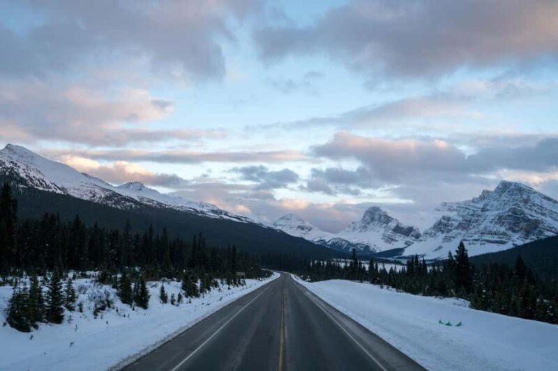 Banff: Full Day Guided Sightseeing, Lakes and Nature Tour - Exploring the Details of the Banff Guided Tour