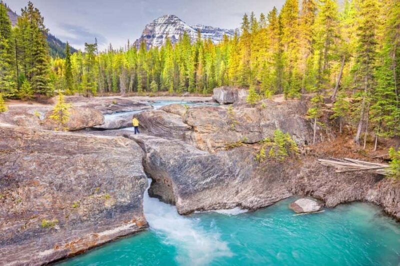 Banff: Golden Skybridge, Emerald Lake, Takakkaw & Wapta Fall - Who Should Consider This Tour?