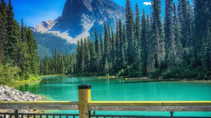 Banff Gondola, Lake Louise, Emerald, Minnewanka & Banff Town - What Makes This Tour Stand Out?
