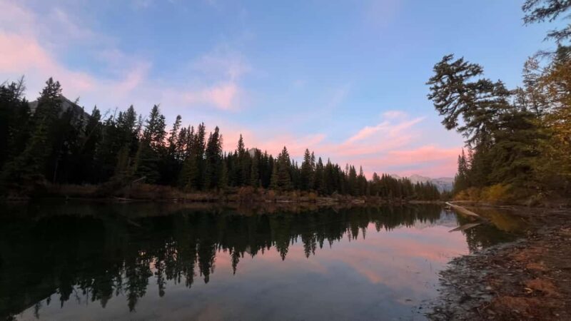 Banff: Grizzly Bear & Nature Walk & Hidden Gem Sunset Tour - An In-Depth Look at the Tour Experience
