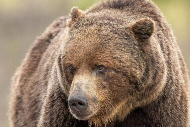 Banff: Lake Louise and Moraine Lake Tour with Pickup & Drop - Who Should Book This Tour?