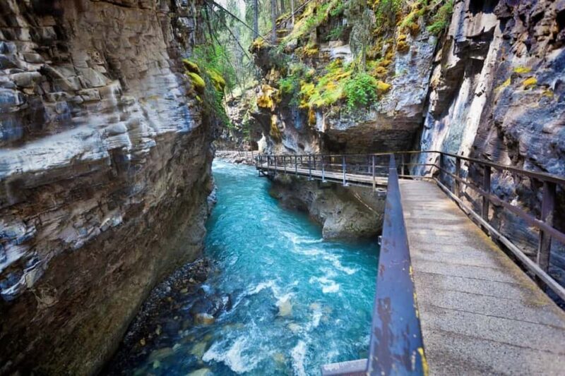 Banff : Lake Louise, Moraine, Emerald & Johnston Canyon tour - Experience the Wonder of Banff: Lake Louise, Moraine, Emerald & Johnston Canyon Tour