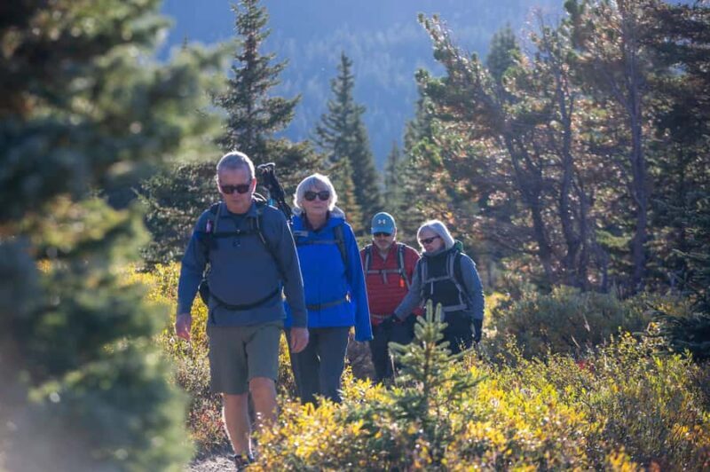 Banff: Larch Valley Guided Hike with Lunch & Transfers - Who Should Consider This Tour?