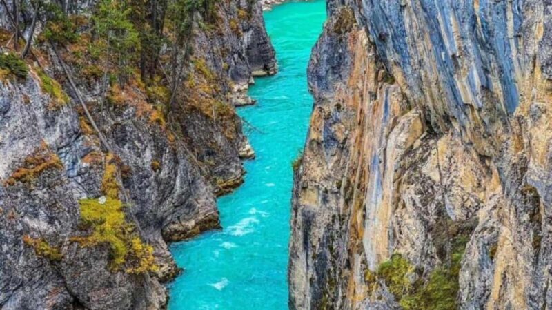 Banff. Moraine, Lake Louise ,Emerald & Johnston Canyon tour - An In-Depth Look at the Tour Experience