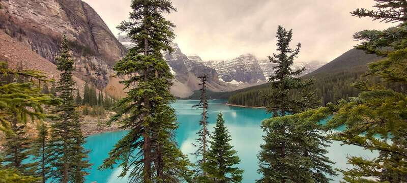 Banff National Park: Full-Day Adventure - Banff National Park: Full-Day Adventure