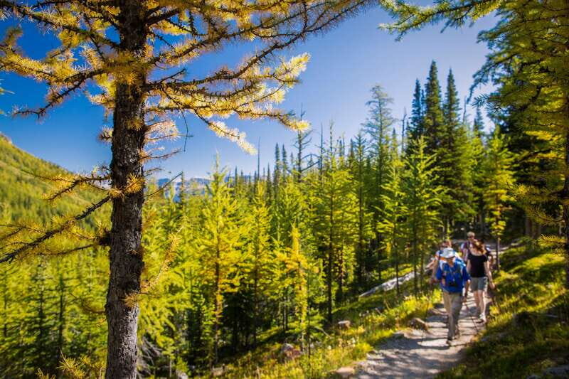 Banff National Park: Guided Signature Hikes with Lunch - Frequently Asked Questions