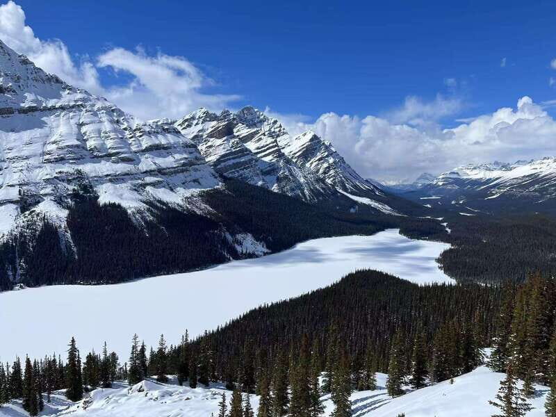 Banff National Park: Lake Louise & Upper Hot Springs Tour - A Deep Dive into the Banff Lake Louise & Hot Springs Tour