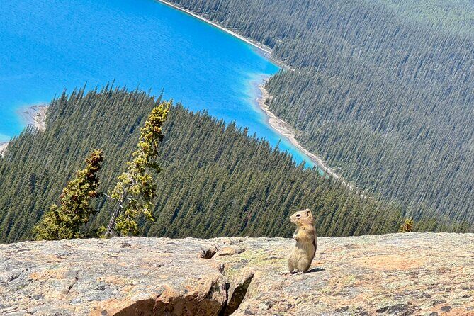 Banff National Park Small Group Tour with Expert Guide - Frequently Asked Questions