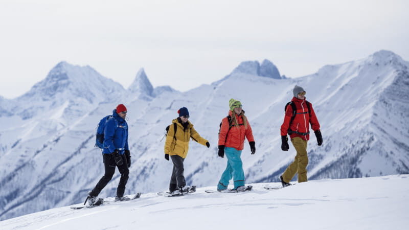 Banff National Park: Sunshine Meadows Snowshoeing Experience - Final thoughts