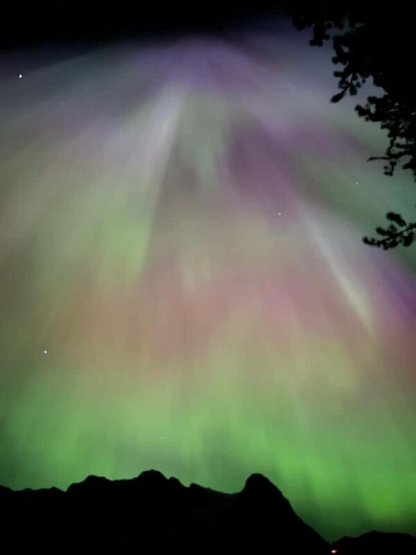 Banff Night Sky: Northern Lights and/or Stargazing Tour - Who Would Love This Tour?