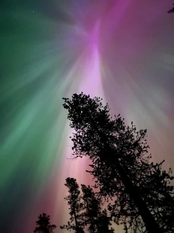 Banff Night Sky: Northern Lights and/or Stargazing Tour - Final Words