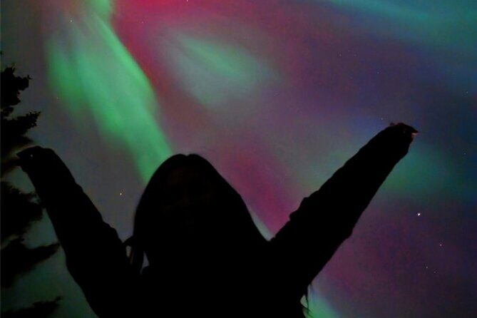 Banff Night Sky Stargazing Tour from Canmore and Banff - A Deep Dive into the Banff Night Sky Stargazing Tour