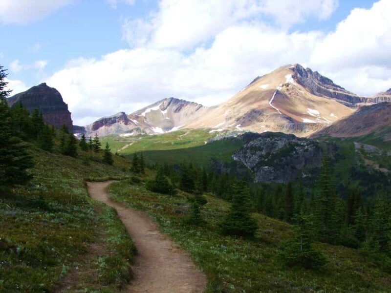 Banff: PRIVATE Guided Nature Walk - 2hrs - FAQs About the Banff Private Guided Nature Walk