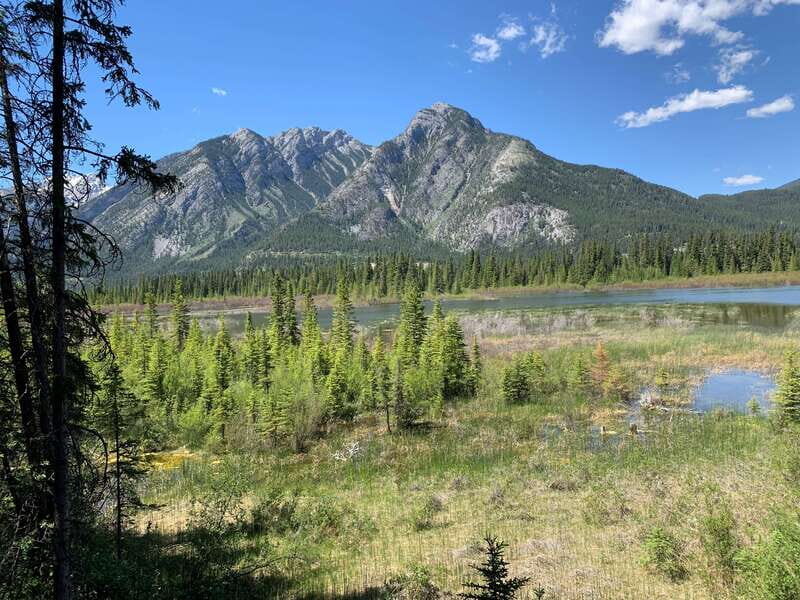 Banff PRIVATE Guided Nature Walk + Transportation - 2.5H - Exploring Banff’s Wilderness in Comfort and Style
