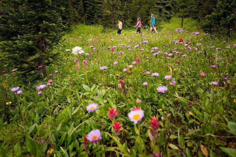 Banff PRIVATE Guided Nature Walk + Transportation - 2.5H - Who Should Book This Tour?