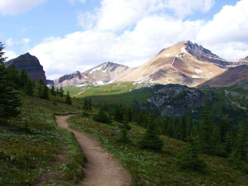 Banff PRIVATE Guided Nature Walk + Transportation - 2.5H - Final Thoughts