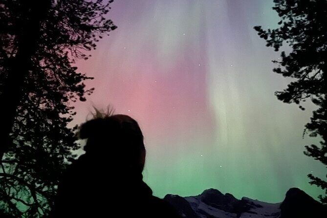 BANFF: Remote Campfire Experience with Stargazing Opportunities - Key Points