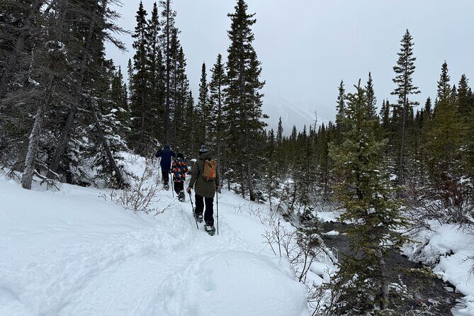 BANFF: Remote Guided Snowshoeing Adventure +Transportation - A Deep Dive Into the Snowshoeing Experience